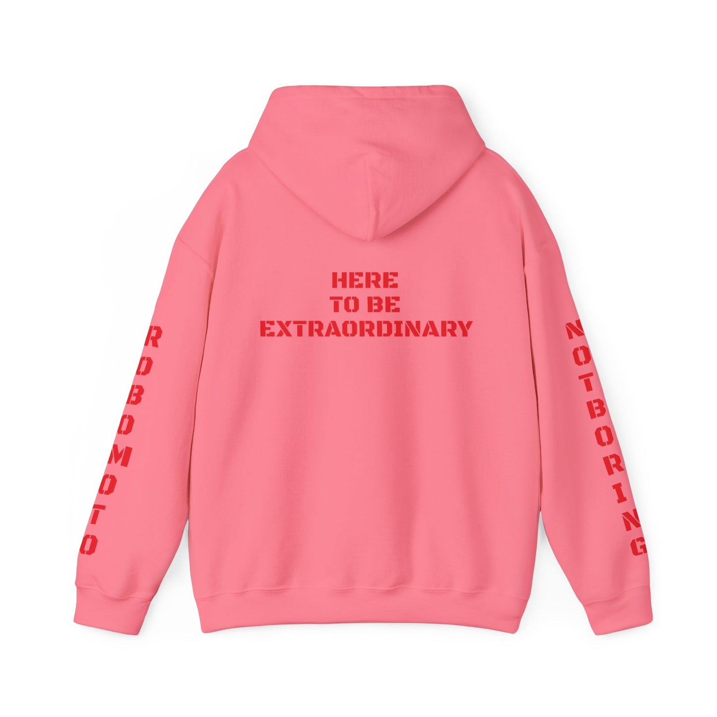 Extraordinary Hoodie