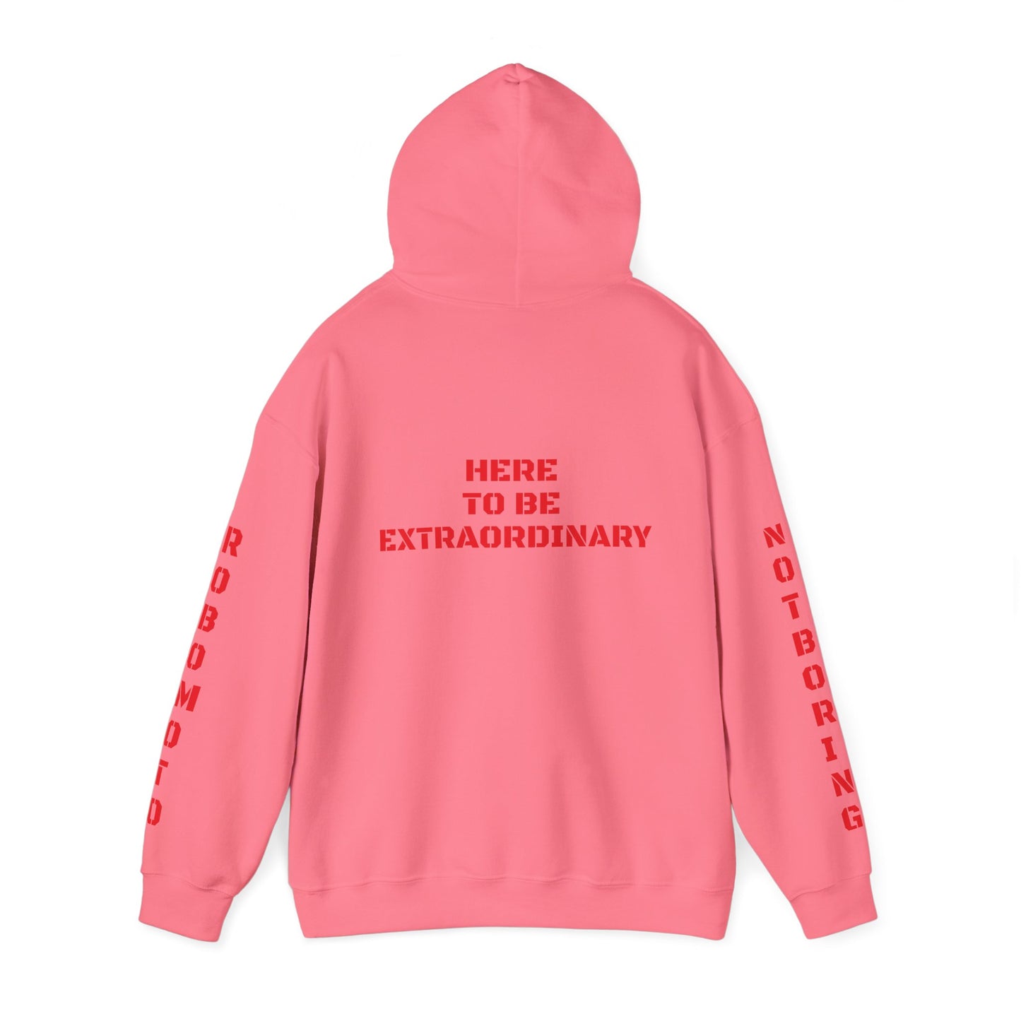 Extraordinary Hoodie